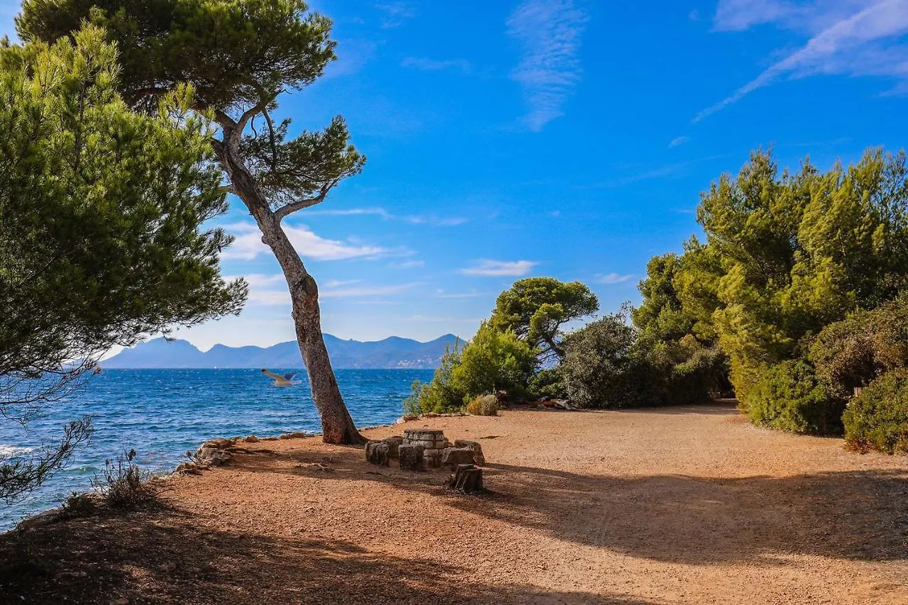 Sea View & Large Terrace Live In La Vista Apartment Cannes France